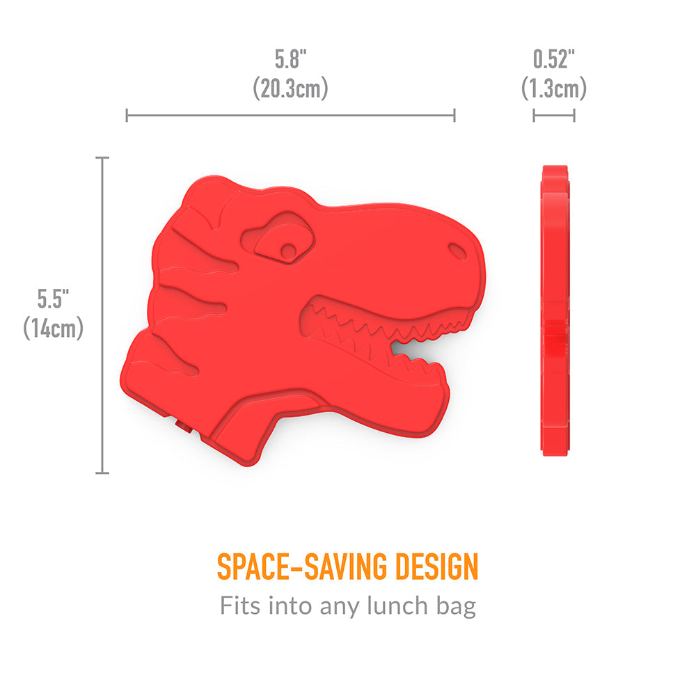 bentgo-kids-prints-lunch-set-j1 BGPTBDL4-DNO-14.jpg