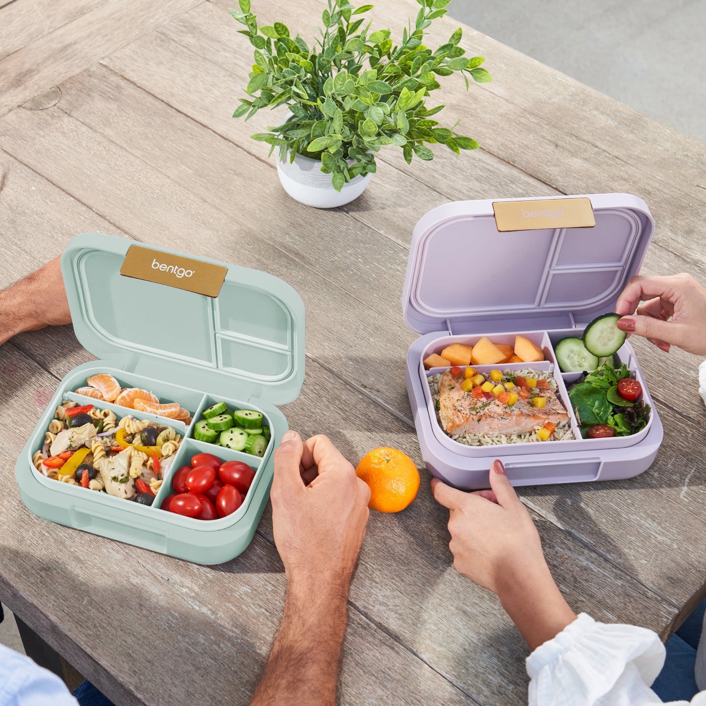 bentgo-modern-lunch-box-2-pack-l6 COSTCOBMCPRODUCTIMAGE_2.jpg